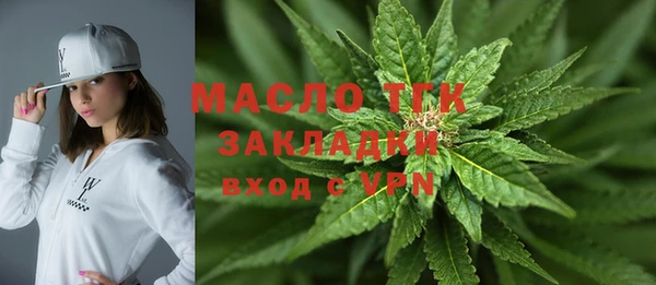 ECSTASY Богданович