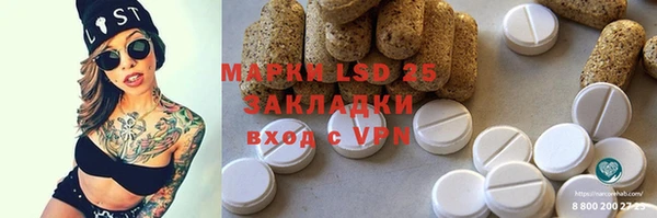 ECSTASY Богданович