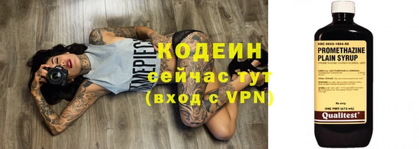 ECSTASY Богданович