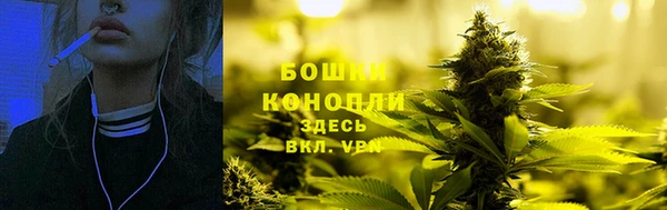 МДПВ Богородицк