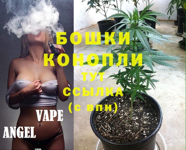 ECSTASY Богданович