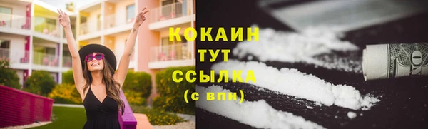 МДПВ Богородицк