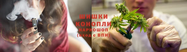 ECSTASY Богданович