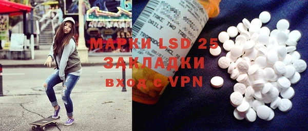 ECSTASY Богданович