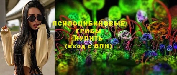 прущая мука Богородск