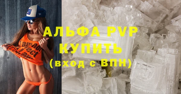 ECSTASY Богданович