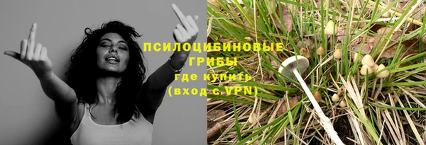 ECSTASY Богданович