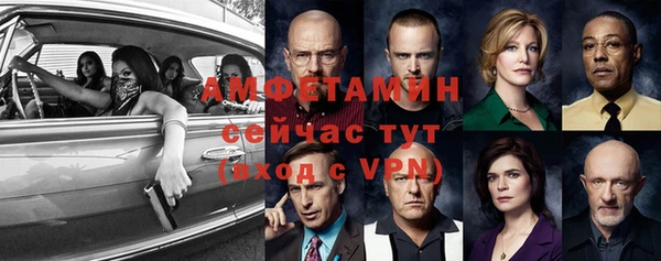 ECSTASY Богданович
