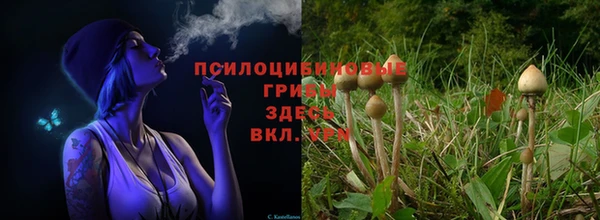 ECSTASY Богданович
