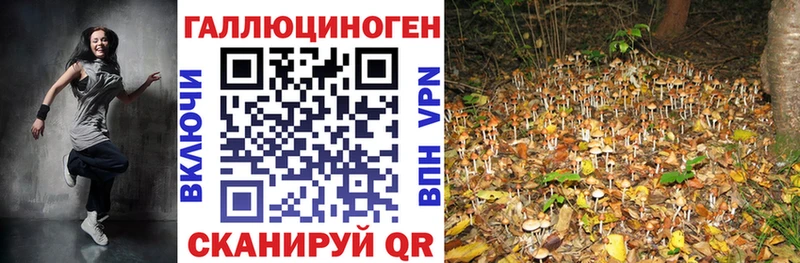 Галлюциногенные грибы прущие грибы  продажа наркотиков  MEGA рабочий сайт  Донецк 